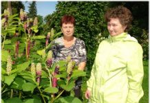 Kuusalu küla naised korraldavad aiasaaduste turupäeva