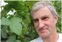 Aiatark VÄINO ESKLA aretab uusi ja suuremaid mustsõstraid