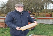 Valel ajal mürgitatud rapsipõld tappis Kuusalus mesilased