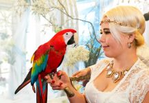 MARIANNE LOIK Härmast aitas avada Baltimaade esimest papagoikeskust