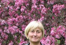 Rätlas dendropargis Smaragd õitsevad punaste õitega õunapuud