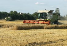 Põllumehed kinnitavad – tänavu tõotab tulla rekordiline viljasaak