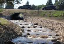 Kaunissaare ja Vetla kalapääsud