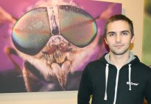 Raasiku fotograafi MEELIS AHVENA näitusel on mitmemeetrised putukad