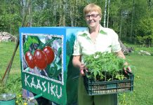 Suurpeal oli kolmandat aastat Pärispea poolsaare rohevahetus