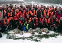 Jahimehed küttisid Raasiku vallas korraga neli hunti