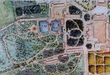 Kolga mõisa pargis käib sanitaarraie