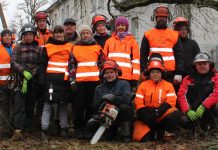 Arboristid: Aruküla hobukastanites on keerukoid