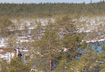 Viru rabas valmis esimene laudtee 40 aastat tagasi