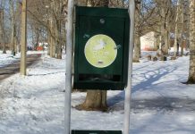 Kehralasi häirivad koerte väljaheited