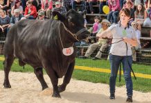 JANE MÄTTIK Rookülast valiti teist korda parimaks tõuaretajaks
