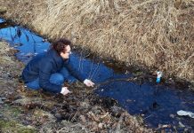 Anija vallas algavad heakorrareeded