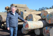 Balti Spoon ostis Poola suurima spoonitehase