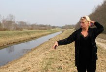 Karu hirmutas Raasiku vallas naise maakodust minema