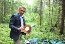 Kaunissaare lähedale metsa on viidud mitukümmend kotitäit prügi