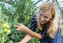 Kuusalu Hoolela kasvatab Allika külas köögivilju