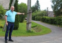 Anija vallast on tänavu hoiupaika viidud 56 hulkuvat kassi