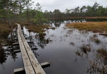 Osa Viru raba laudteest jäi soo veerežiimi taastamistöödega paariks päevaks vee alla