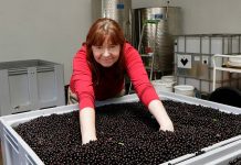 Valgejõe Veinivilla oli nominent Põhja-Eesti aasta turismitegijate konkursil