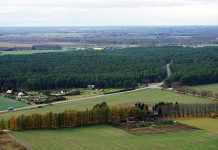 RMK pole nõus Aruküla männikus lageraie keelamisega