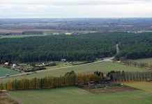 Vallavalitsus ja RMK ei leidnud Aruküla männiku osas kompromissi