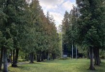 Eskiis Vabadussõja Kuusalu ausamba korrastamiseks