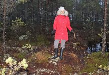 RMK tutvustas Viru raba jääksoo veerežiimi taastamisprojekti