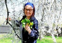 Põhja-Eesti kodukokkasid oodatakse osalema retseptikonkursil