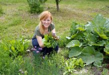 Kuusalu Hoolela aiamaalt müüakse juba maitserohelist ja salatit