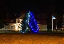 Jõulupuud Kehras, Kiius ja Loksal