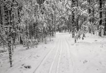 Lumesadu õhutas suusaradu rajama ka rohumaadele