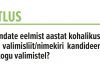 Kuidas hindate eelmist aastat kohalikus poliitikas ja kas te valimisliit/nimekiri kandideerib tänavu vallavolikogu valimistel?