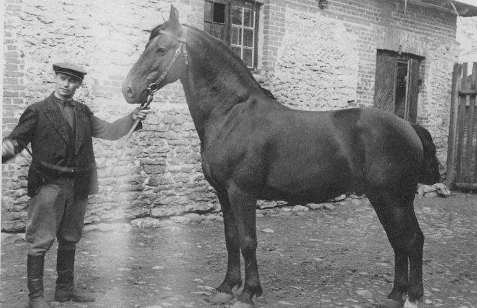 15 Juhan Aru täkuga talli juures