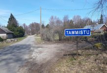 Tammistu, Leesi ja Tammispea külas rajati ise kiire interneti võrk