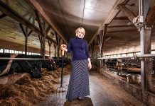 Kodumaise toidu kättesaadavus tulevikus on tarbija kätes