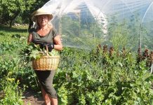 Kuusalu Hoolela müüb enamiku aiasaadustest isekorjajatele