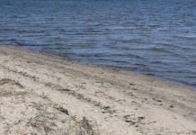 Kaunisaare, Alavere ja Loksa ujumiskohad saavad ohutuspoid