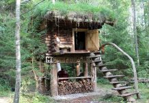 Nõmbra Valgusfestivali külalisi kostitab Metsarestoran