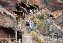 Madeira – looduslike hortensiate ja kuni viiemeetriste eerikatega saar