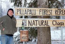 Perefirma Natural Chaga Pillapalust tegi mustast pässikust Eesti ühe parima joogi