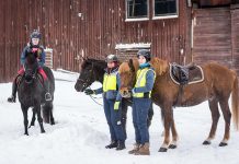 Kolgaküla talvisel rakendi- ja ratsaorienteerumisel võistlesid 34 hobust