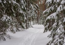 Petitsioon Kuusalu KAH-metsade kaitseks