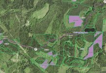 RMK avalik koosolek Aegviidu metsas