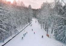 Üleskutse: tee Eestile kingitus terviserajal