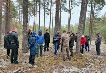 RMK lükkab Kuusalu metsatööde kava koostamise aastaks edasi