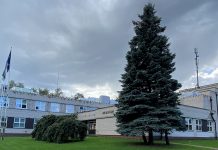 Ettepanekud Raasiku valla kaasavasse eelarvesse