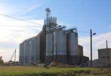 Vili koristati põldudelt mõne nädalaga