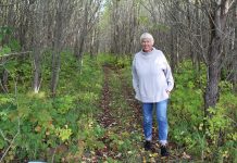 Raasikule planeeritakse 1,3 kilomeetri pikkust terviserada