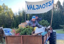 Liiva laadal tehti külastajate rekord