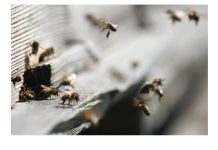 Kogukonna ettevalmistus kriisiks